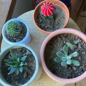 Meet your Posher, Celine